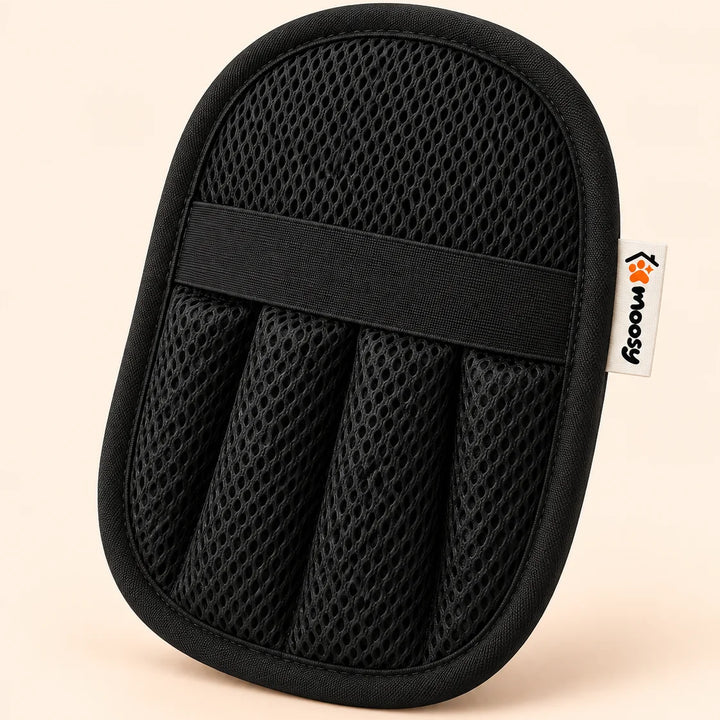 Moosy Pet Hair Glove for couch, dog bed and car seats